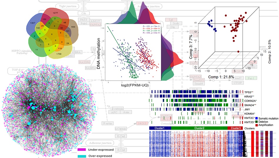 Bioinformatic analytics for genomic and biomolecular data