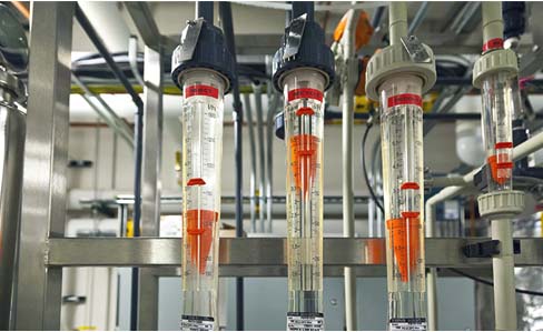 Center for Drug Delivery and Nanomedicine