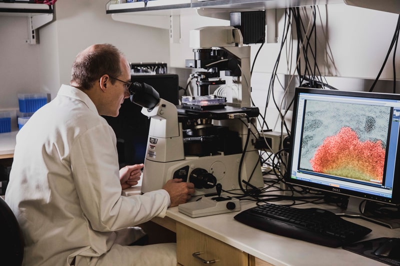 scientist at microscope