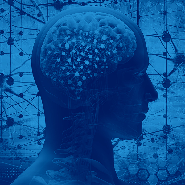 brain, thinking concept; 3d illustration