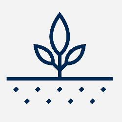 plant icon