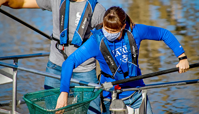 female researcher in blue UNK hooded sweatshirt holding net, reaching into net with water in the background