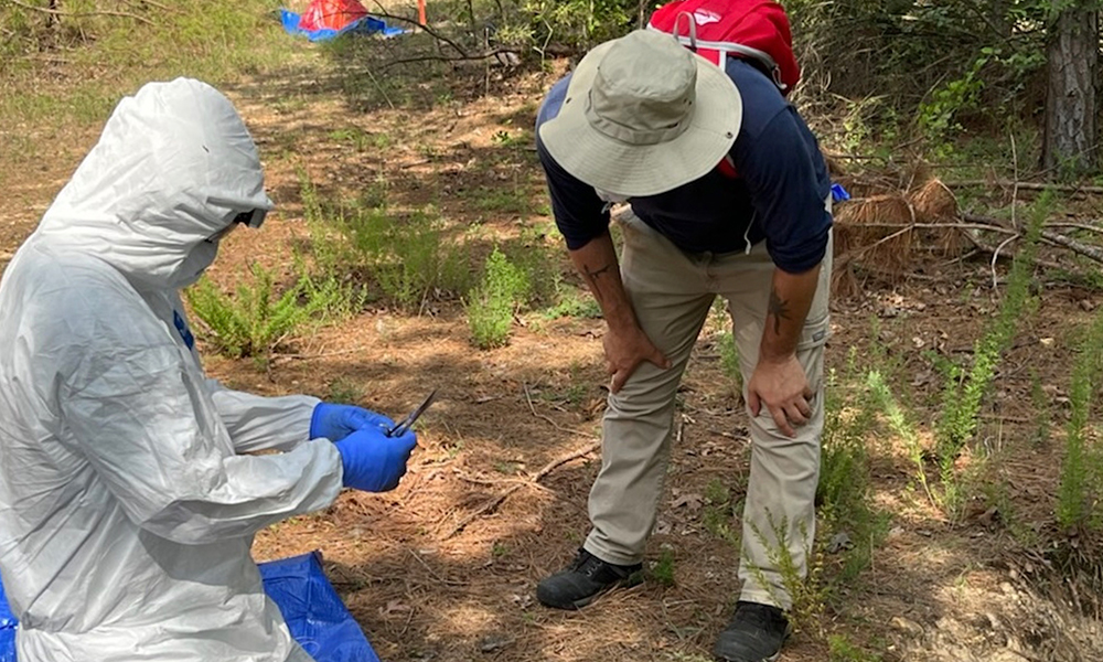 Participants are guided by NSRI staff with years of field, analytical, sampling, and medical experience.