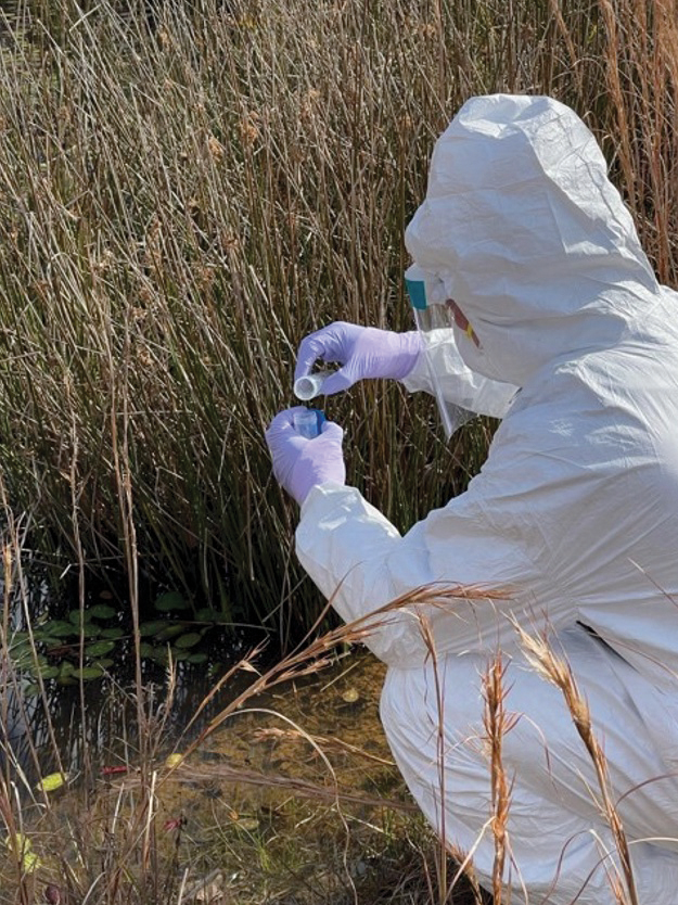 person in white decon suit collecting samples in a thicket