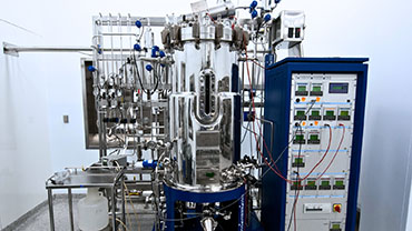 ${imageAsset.metadata.description}