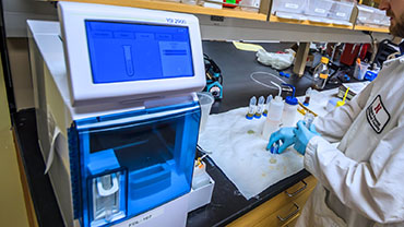 ${imageAsset.metadata.description}